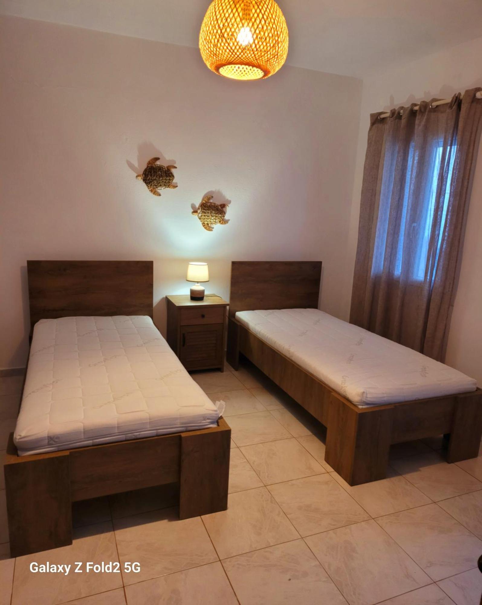 Tinos Apartments Zalonis 圣约阿尼斯 外观 照片